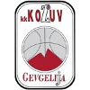 https://img.itayam.com/img/basketball/team/4b06fe02aaa7da5901e5698485059da0.png