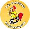 https://img.itayam.com/img/football/team/63b0933cc303927659846a4ed54b1522.png